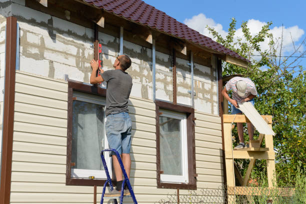 Best Custom Siding Design  in Chesaning, MI