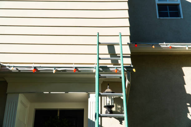 Best Historical Building Siding Restoration  in Chesaning, MI