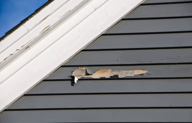 Chesaning, MI Siding Installation & Repair Company