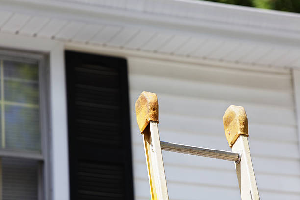 Best Aluminum Siding Installation  in Chesaning, MI